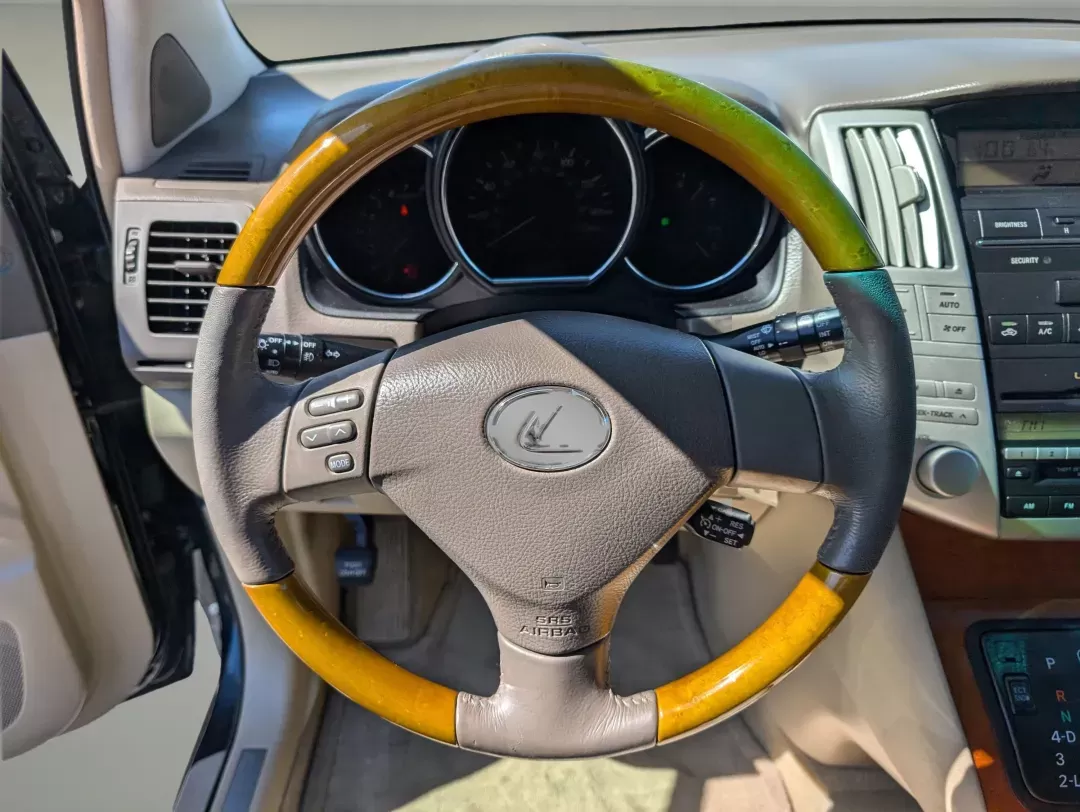 2004 Lexus RX 330 (JTJGA31U940) with an Gas V6 3.3L/202 engine, 5-Speed Automatic w/OD transmission, located at 1430 Gateway Drive, Opelika, AL, 36801, (334) 239-0944, 32.637871, -85.409790 - 2004 Lexus RX 330 - Photo#15