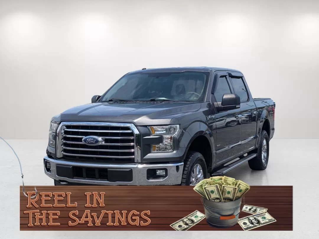 2016 Ford F-150 XLT (1FTEW1EG7GK) with an Other engine, located at 3959 U.S. 80 W, Phenix City, AL, 36870, (334) 297-4885, 32.469296, -85.135185 - 2016 Ford F-150 XLT - Photo#0