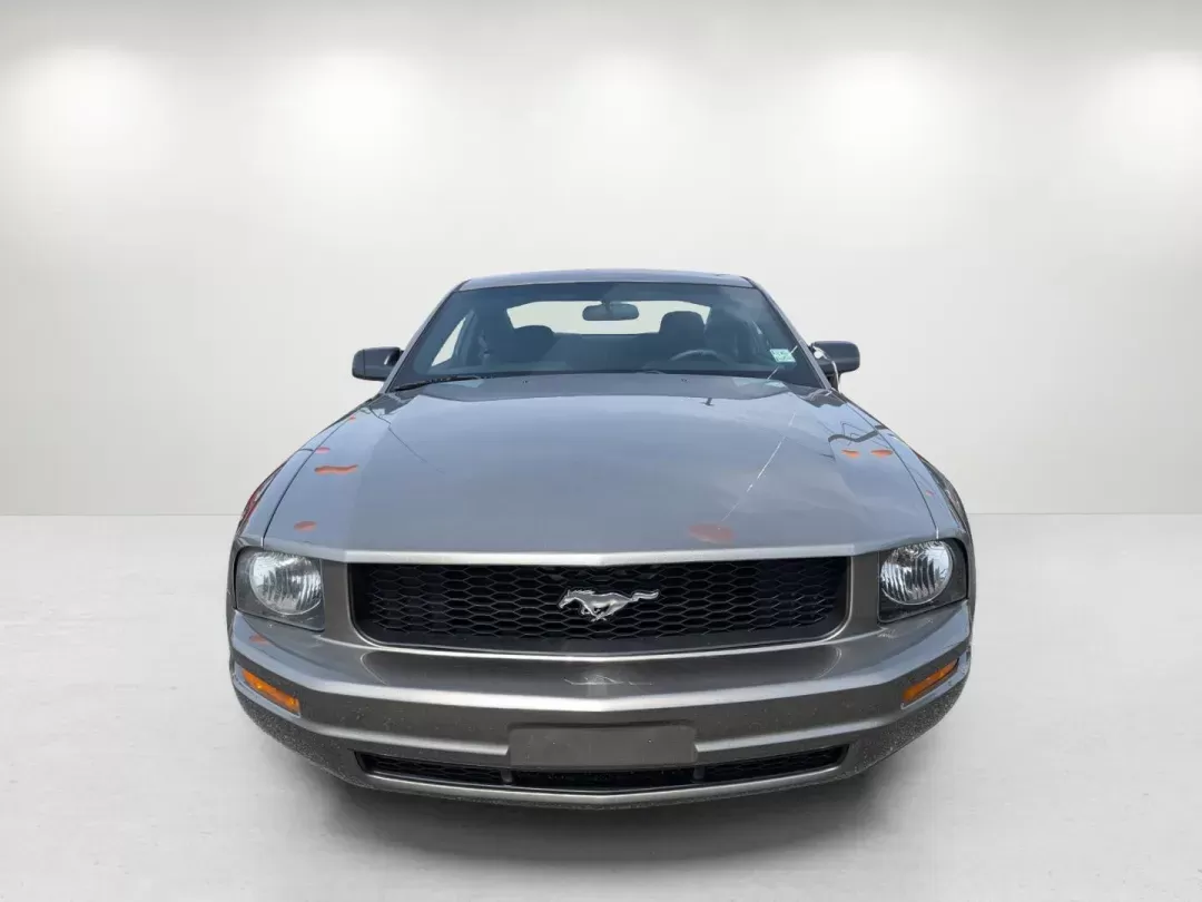 2009 Ford Mustang (1ZVHT80N195) with an Gas V6 4.0L/244 engine, located at 521 Old Farm Lane Rd, Prattville, AL, 36066, (334) 325-1505, 32.482460, -86.416367 - 2009 Ford Mustang - Photo#1