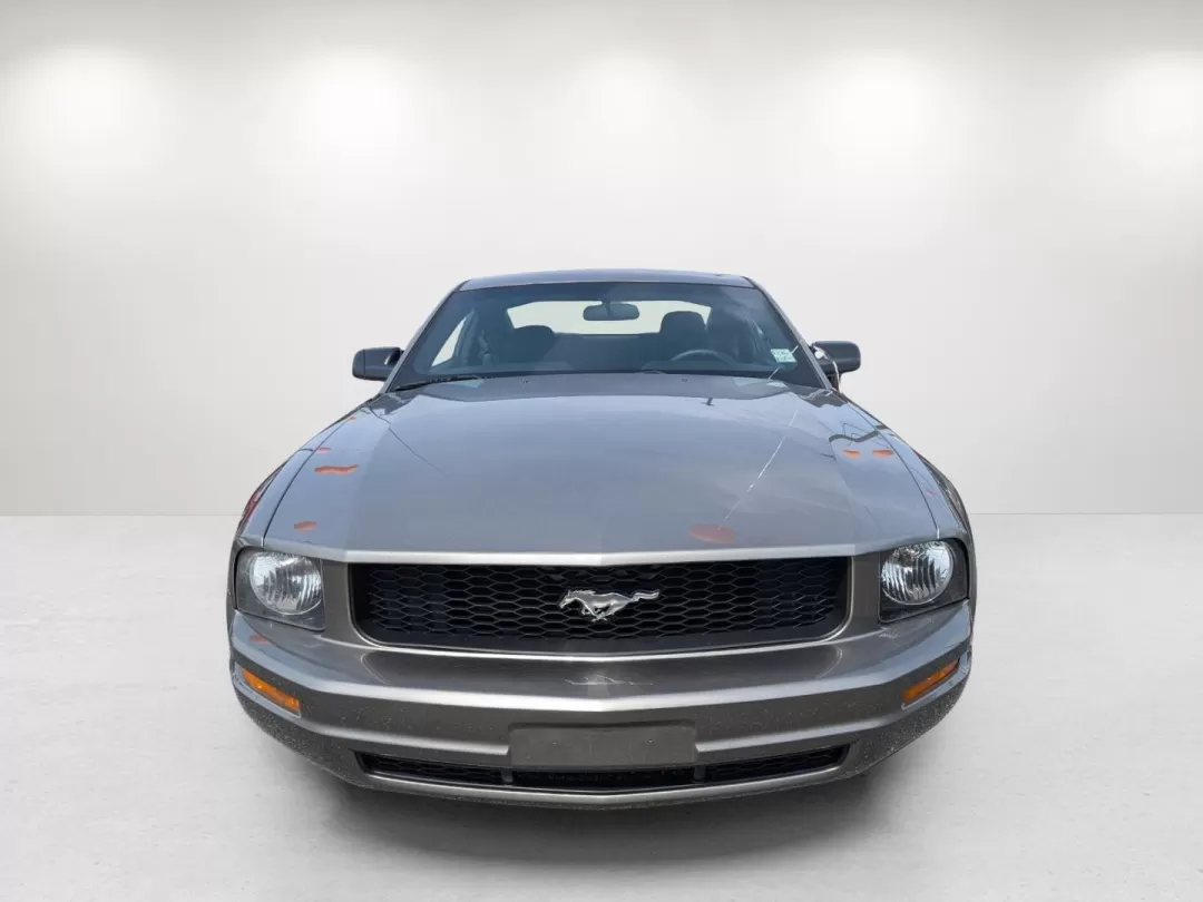 2009 Ford Mustang (1ZVHT80N195) with an Other engine, located at 5115 14th Ave., Columbus, GA, 31904, (706) 323-0345, 32.511494, -84.971046 - **Unleash Your Inner Adventurer with This 2009 Ford Mustang!**<br /> <br /> Looking to elevate your driving experience? Imagine cruising down the open road in a stylish 2009 Ford Mustang, the perfect companion for weekend getaways or daily commutes in Columbus, GA. Whether you're a car enthusiast or - Photo#1