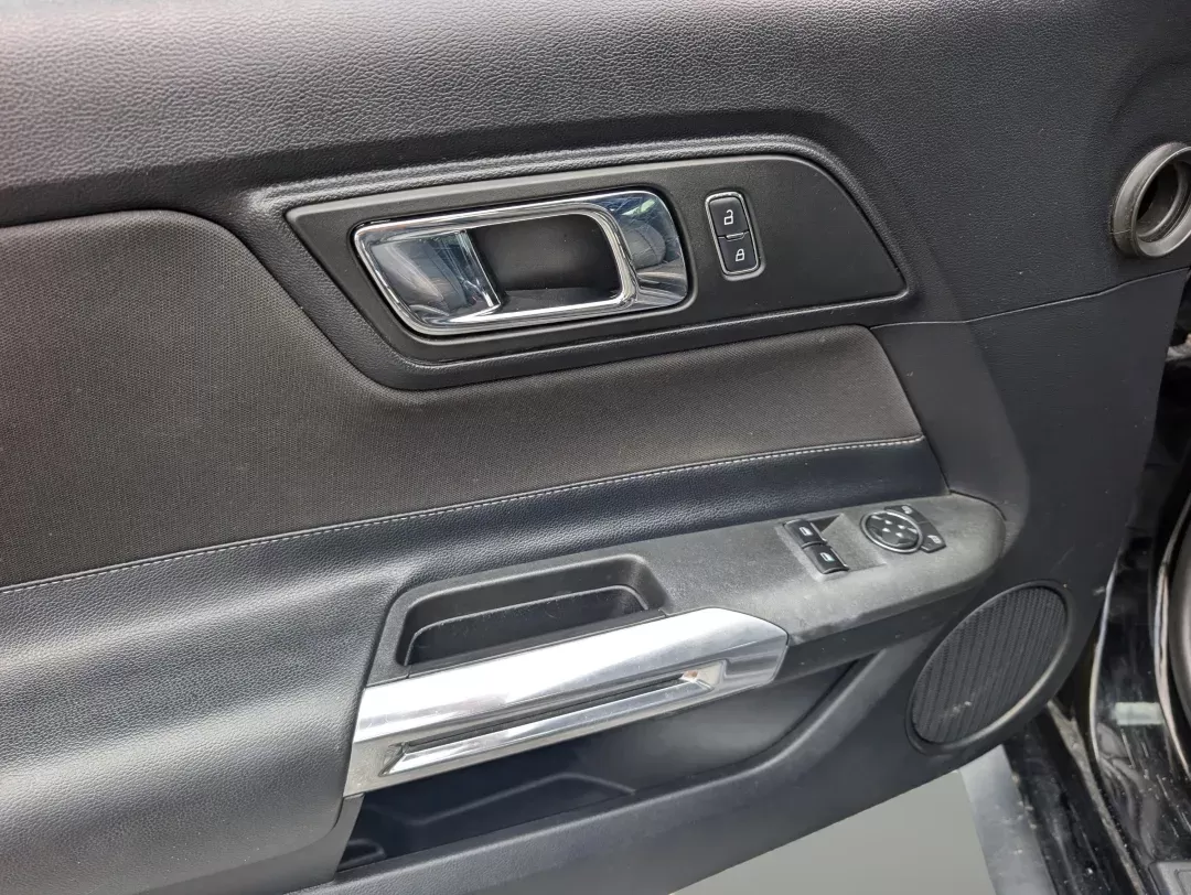2017 Ford Mustang V6 (1FA6P8AM3H5) with an Other engine, located at 3959 U.S. 80 W, Phenix City, AL, 36870, (334) 297-4885, 32.469296, -85.135185 - **Unleash Your Inner Adventurer with the 2017 Ford Mustang V6!**<br /> <br /> Are you ready to take your driving experience to a whole new level? Whether you're looking to impress your friends, spice up your daily commute, or simply enjoy the thrill of the open road, the 2017 Ford Mustang V6 at Gils - Photo#8