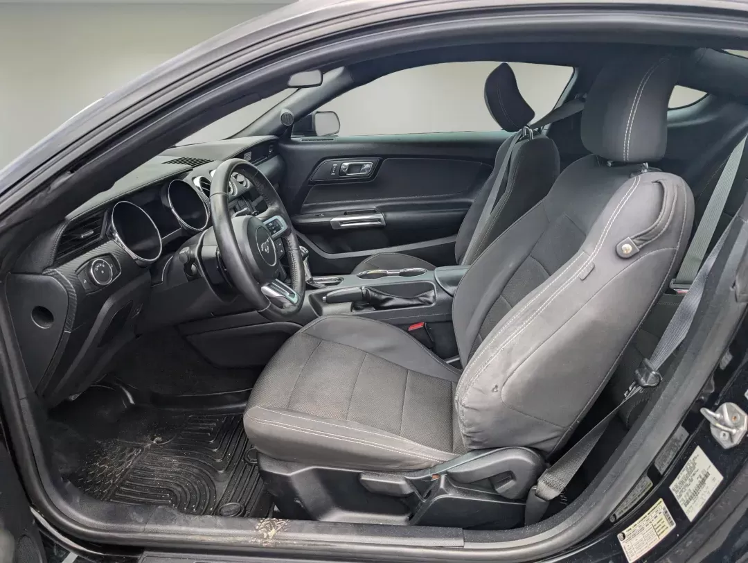 2017 Ford Mustang V6 (1FA6P8AM3H5) with an Other engine, located at 3959 U.S. 80 W, Phenix City, AL, 36870, (334) 297-4885, 32.469296, -85.135185 - **Unleash Your Inner Adventurer with the 2017 Ford Mustang V6!**<br /> <br /> Are you ready to take your driving experience to a whole new level? Whether you're looking to impress your friends, spice up your daily commute, or simply enjoy the thrill of the open road, the 2017 Ford Mustang V6 at Gils - Photo#9