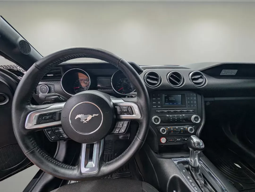 2017 Ford Mustang V6 (1FA6P8AM3H5) with an Other engine, located at 3959 U.S. 80 W, Phenix City, AL, 36870, (334) 297-4885, 32.469296, -85.135185 - **Unleash Your Inner Adventurer with the 2017 Ford Mustang V6!**<br /> <br /> Are you ready to take your driving experience to a whole new level? Whether you're looking to impress your friends, spice up your daily commute, or simply enjoy the thrill of the open road, the 2017 Ford Mustang V6 at Gils - Photo#14