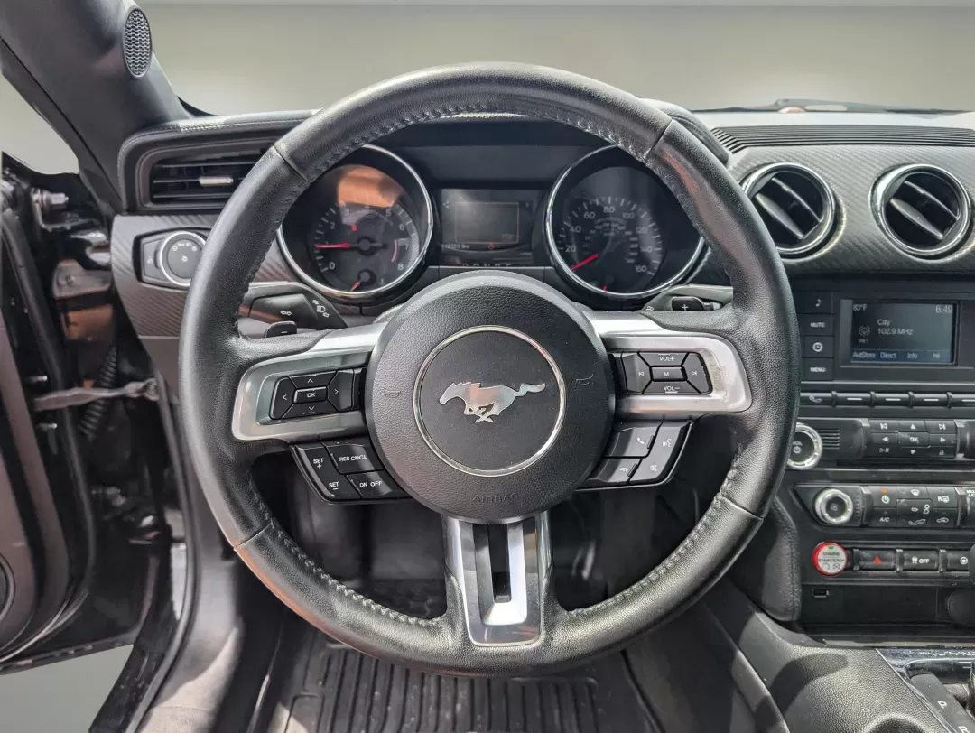 2017 Ford Mustang V6 (1FA6P8AM3H5) with an Other engine, located at 3959 U.S. 80 W, Phenix City, AL, 36870, (334) 297-4885, 32.469296, -85.135185 - **Unleash Your Inner Adventurer with the 2017 Ford Mustang V6!**<br /> <br /> Are you ready to take your driving experience to a whole new level? Whether you're looking to impress your friends, spice up your daily commute, or simply enjoy the thrill of the open road, the 2017 Ford Mustang V6 at Gils - Photo#15