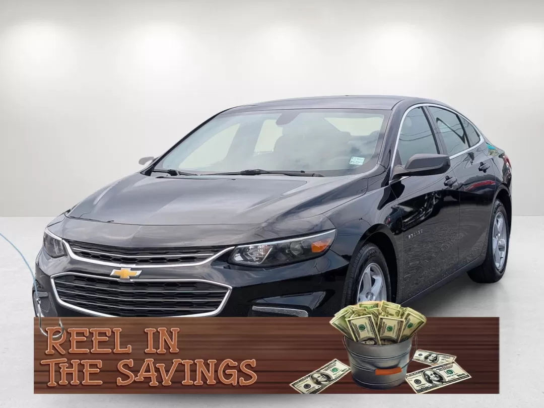 2018 /Jet Black Chevrolet Malibu LS (1G1ZB5ST1JF) with an Other engine, located at 3959 U.S. 80 W, Phenix City, AL, 36870, (334) 297-4885, 32.469296, -85.135185 - 2018 Chevrolet Malibu LS - Photo#0