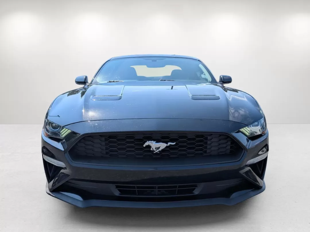 2018 Ford Mustang EcoBoost (1FA6P8TH0J5) with an Other engine, located at 3959 U.S. 80 W, Phenix City, AL, 36870, (334) 297-4885, 32.469296, -85.135185 - **Ignite Your Passion for Driving with the 2018 Ford Mustang EcoBoost at Gils Auto!**<br /> <br /> Are you ready to elevate your driving experience? Whether you're cruising down U.S. 80, heading to local attractions in Phenix City, AL, or enjoying weekend adventures, the 2018 Ford Mustang EcoBoost i - Photo#2