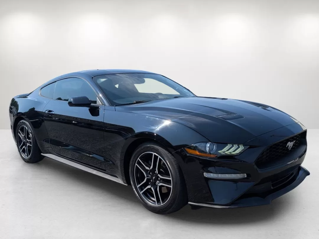 2018 Ford Mustang EcoBoost (1FA6P8TH0J5) with an Other engine, located at 3959 U.S. 80 W, Phenix City, AL, 36870, (334) 297-4885, 32.469296, -85.135185 - **Ignite Your Passion for Driving with the 2018 Ford Mustang EcoBoost at Gils Auto!**<br /> <br /> Are you ready to elevate your driving experience? Whether you're cruising down U.S. 80, heading to local attractions in Phenix City, AL, or enjoying weekend adventures, the 2018 Ford Mustang EcoBoost i - Photo#3
