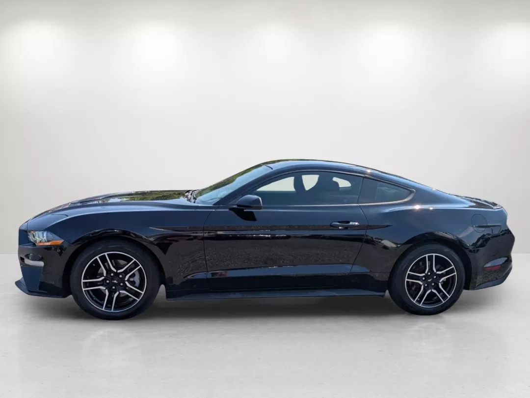 2018 Ford Mustang EcoBoost (1FA6P8TH0J5) with an Other engine, located at 3959 U.S. 80 W, Phenix City, AL, 36870, (334) 297-4885, 32.469296, -85.135185 - **Ignite Your Passion for Driving with the 2018 Ford Mustang EcoBoost at Gils Auto!**<br /> <br /> Are you ready to elevate your driving experience? Whether you're cruising down U.S. 80, heading to local attractions in Phenix City, AL, or enjoying weekend adventures, the 2018 Ford Mustang EcoBoost i - Photo#8
