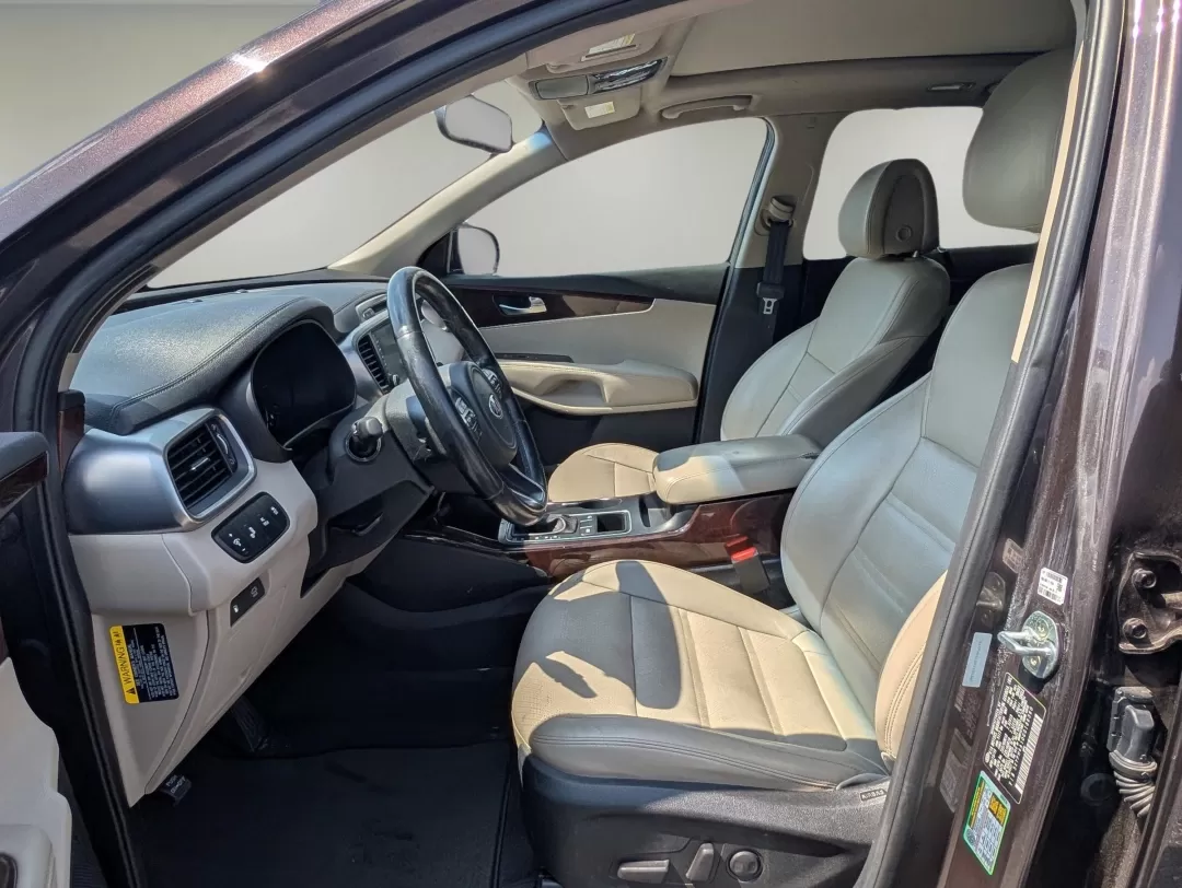 2016 /Stone Beige Kia Sorento EX (5XYPH4A10GG) with an Other engine, located at 3959 U.S. 80 W, Phenix City, AL, 36870, (334) 297-4885, 32.469296, -85.135185 - 2016 Kia Sorento EX - Photo#9