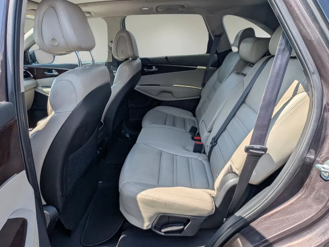 2016 /Stone Beige Kia Sorento EX (5XYPH4A10GG) with an Other engine, located at 3959 U.S. 80 W, Phenix City, AL, 36870, (334) 297-4885, 32.469296, -85.135185 - 2016 Kia Sorento EX - Photo#10