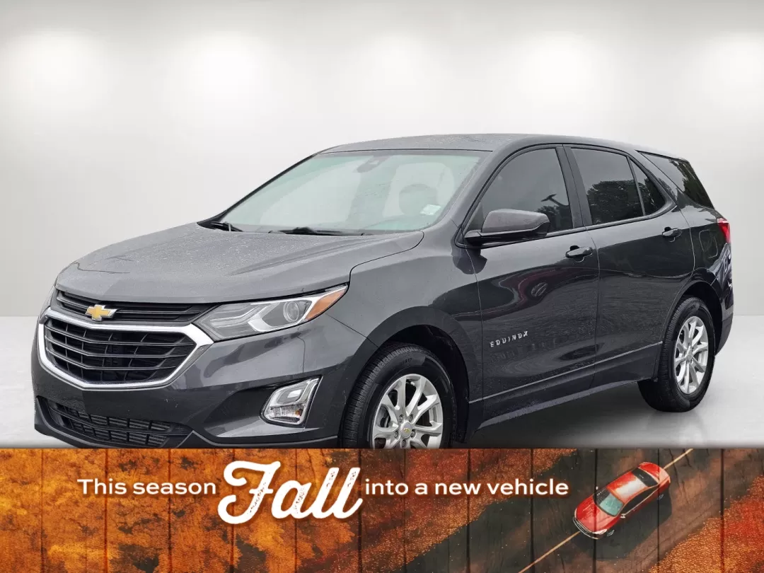 2020 /Medium Ash Gray Chevrolet Equinox LS (2GNAXHEV7L6) with an Other engine, located at 1430 Gateway Drive, Opelika, AL, 36801, (334) 239-0944, 32.637871, -85.409790 - **Unleash Your Adventurous Spirit with the 2020 Chevrolet Equinox LS at Gils Auto**<br /> <br /> Are you ready to embark on a new journey? Whether you're navigating the bustling streets of Phenix City or exploring the beautiful nearby landscapes, the 2020 Chevrolet Equinox LS is your perfect compani - Photo#0
