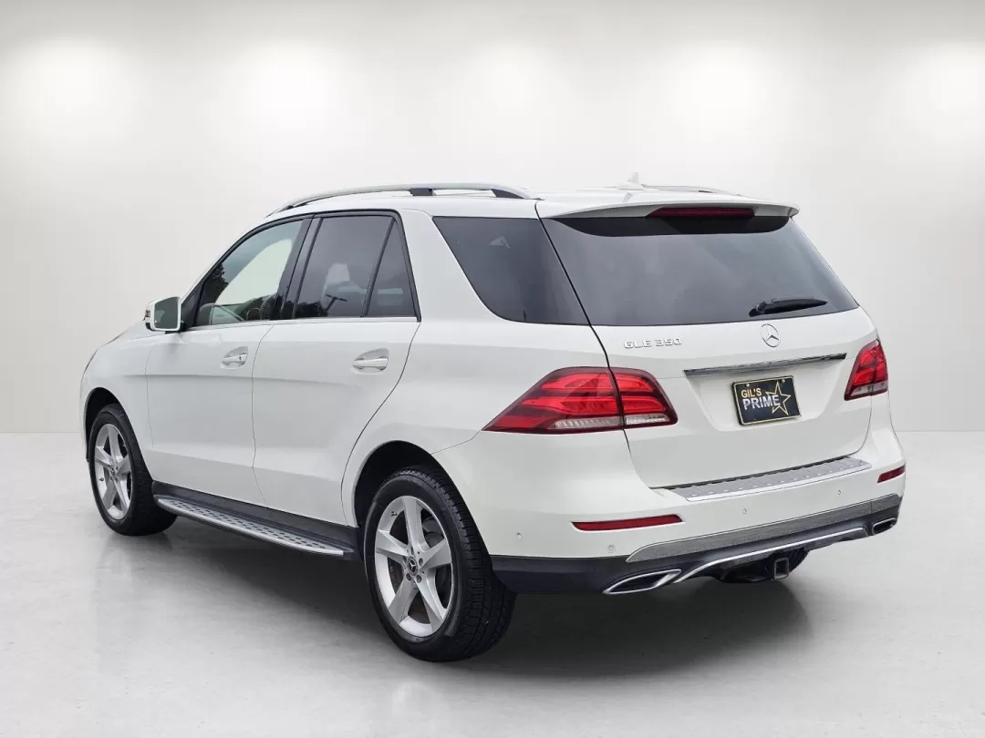 2018 /Black Mercedes-Benz GLE GLE 350 (4JGDA5JB6JB) with an Other engine, located at 804 22nd Ave, Phenix City, AL, 36870, (334) 297-1860, 32.484749, -85.024475 - 2018 Mercedes-Benz GLE GLE 350 - Photo#6