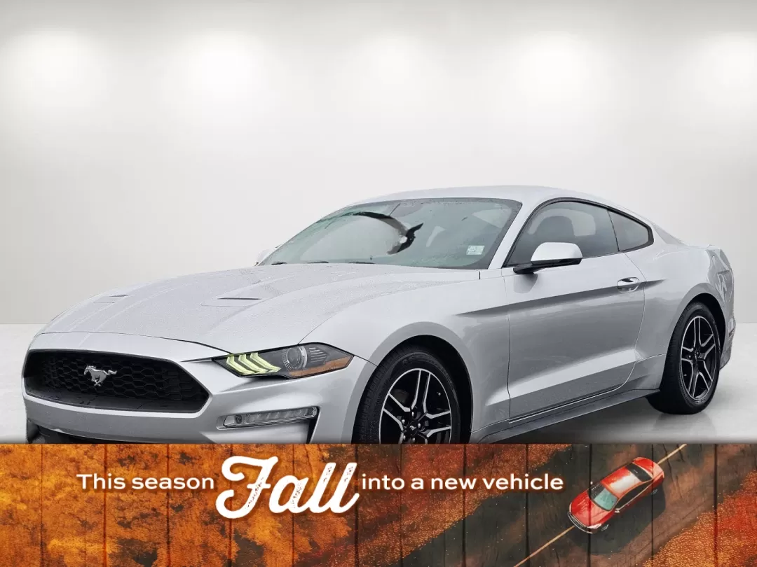 2019 Ford Mustang EcoBoost Premium (1FA6P8TH5K5) with an Other engine, located at 3959 U.S. 80 W, Phenix City, AL, 36870, (334) 297-4885, 32.469296, -85.135185 - Unleash your inner thrill-seeker with this stunning 2019 Ford Mustang, now available at Gils Auto in Phenix City, AL. Whether you're looking to transform your daily commute into an exciting journey or seeking the perfect vehicle for weekend adventures, this iconic coupe is ready to elevate your driv - Photo#0