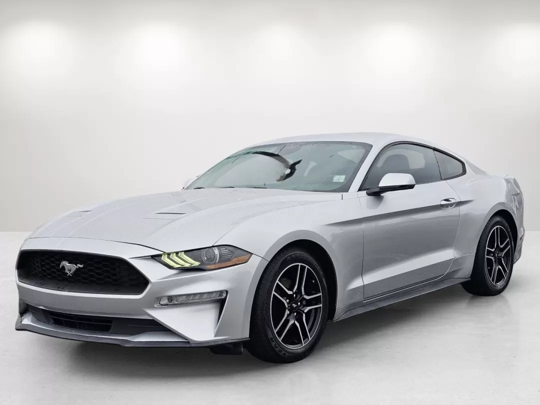 2019 Ford Mustang EcoBoost Premium (1FA6P8TH5K5) with an Other engine, located at 3959 U.S. 80 W, Phenix City, AL, 36870, (334) 297-4885, 32.469296, -85.135185 - Unleash your inner thrill-seeker with this stunning 2019 Ford Mustang, now available at Gils Auto in Phenix City, AL. Whether you're looking to transform your daily commute into an exciting journey or seeking the perfect vehicle for weekend adventures, this iconic coupe is ready to elevate your driv - Photo#1