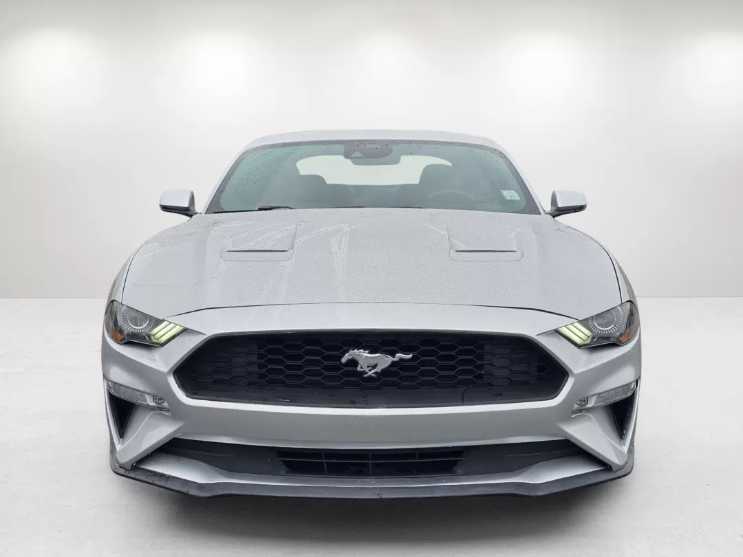 2019 Ford Mustang EcoBoost Premium (1FA6P8TH5K5) with an Other engine, located at 3959 U.S. 80 W, Phenix City, AL, 36870, (334) 297-4885, 32.469296, -85.135185 - Unleash your inner thrill-seeker with this stunning 2019 Ford Mustang, now available at Gils Auto in Phenix City, AL. Whether you're looking to transform your daily commute into an exciting journey or seeking the perfect vehicle for weekend adventures, this iconic coupe is ready to elevate your driv - Photo#2