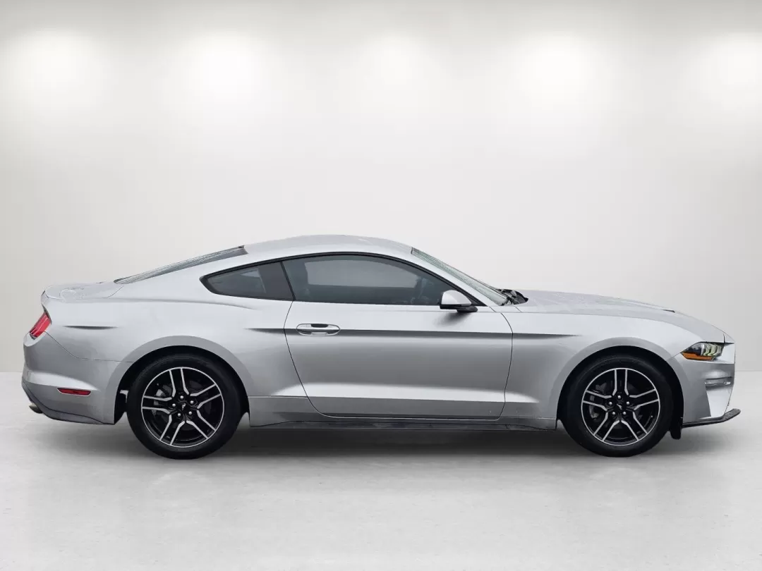2019 Ford Mustang EcoBoost Premium (1FA6P8TH5K5) with an Other engine, located at 3959 U.S. 80 W, Phenix City, AL, 36870, (334) 297-4885, 32.469296, -85.135185 - Unleash your inner thrill-seeker with this stunning 2019 Ford Mustang, now available at Gils Auto in Phenix City, AL. Whether you're looking to transform your daily commute into an exciting journey or seeking the perfect vehicle for weekend adventures, this iconic coupe is ready to elevate your driv - Photo#4