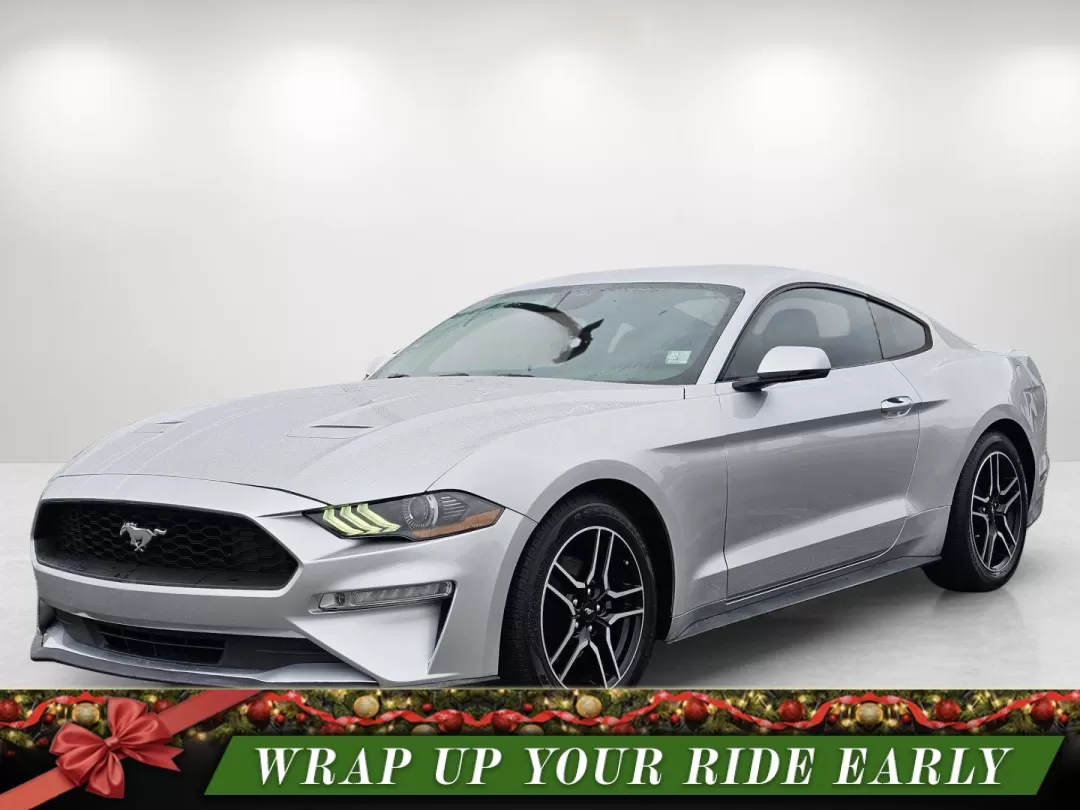 photo of 2019 Ford Mustang