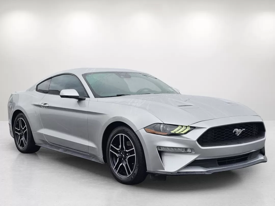 2019 Ford Mustang EcoBoost Premium (1FA6P8TH5K5) with an Other engine, located at 1430 Gateway Drive, Opelika, AL, 36801, (334) 239-0944, 32.637871, -85.409790 - Unleash your inner thrill-seeker with this stunning 2019 Ford Mustang, now available at Gils Auto in Phenix City, AL. Whether you're looking to transform your daily commute into an exciting journey or seeking the perfect vehicle for weekend adventures, this iconic coupe is ready to elevate your driv - Photo#2