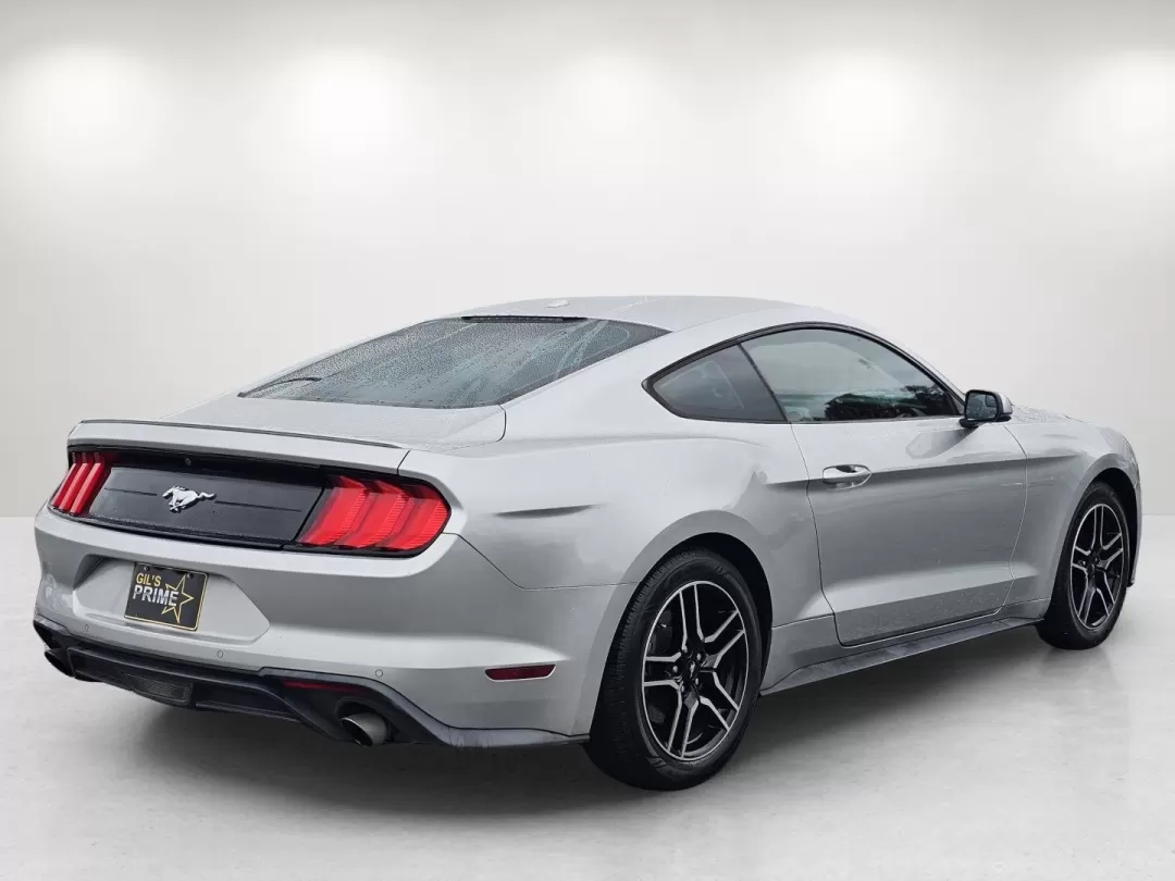 2019 Ford Mustang EcoBoost Premium (1FA6P8TH5K5) with an Other engine, located at 1430 Gateway Drive, Opelika, AL, 36801, (334) 239-0944, 32.637871, -85.409790 - Unleash your inner thrill-seeker with this stunning 2019 Ford Mustang, now available at Gils Auto in Phenix City, AL. Whether you're looking to transform your daily commute into an exciting journey or seeking the perfect vehicle for weekend adventures, this iconic coupe is ready to elevate your driv - Photo#4