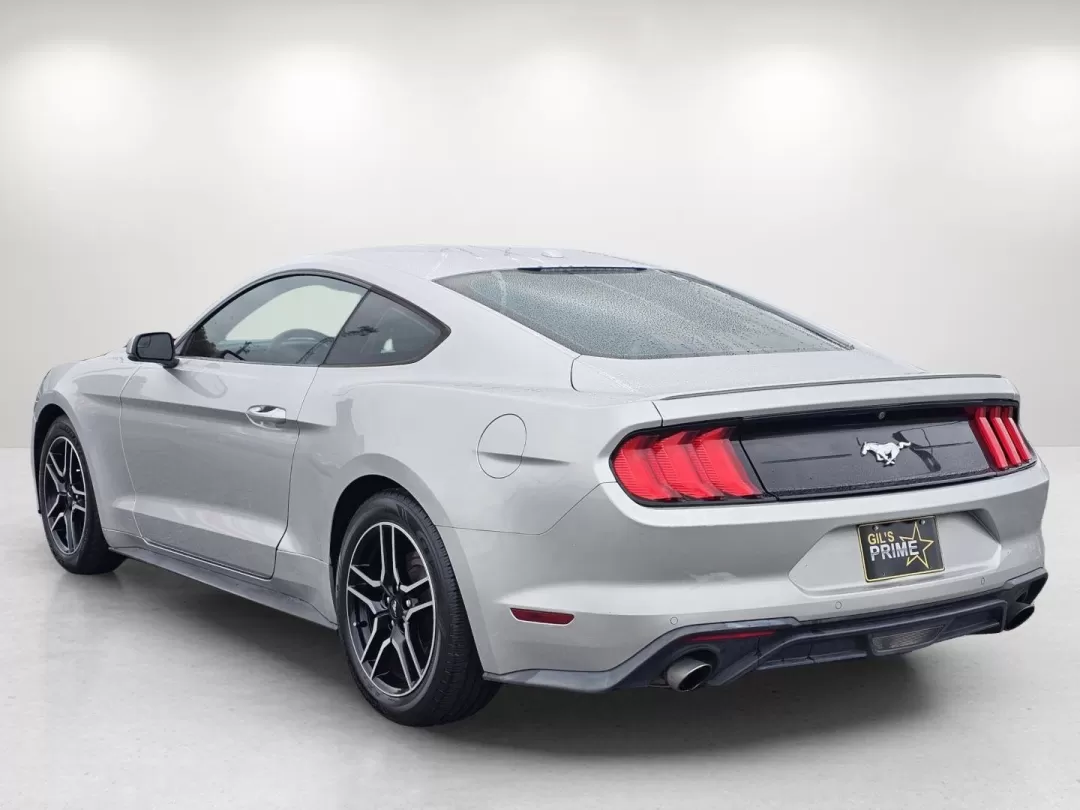 2019 Ford Mustang EcoBoost Premium (1FA6P8TH5K5) with an Other engine, located at 1430 Gateway Drive, Opelika, AL, 36801, (334) 239-0944, 32.637871, -85.409790 - Unleash your inner thrill-seeker with this stunning 2019 Ford Mustang, now available at Gils Auto in Phenix City, AL. Whether you're looking to transform your daily commute into an exciting journey or seeking the perfect vehicle for weekend adventures, this iconic coupe is ready to elevate your driv - Photo#6