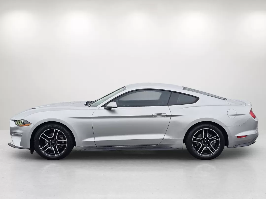 2019 Ford Mustang EcoBoost Premium (1FA6P8TH5K5) with an Other engine, located at 1430 Gateway Drive, Opelika, AL, 36801, (334) 239-0944, 32.637871, -85.409790 - Unleash your inner thrill-seeker with this stunning 2019 Ford Mustang, now available at Gils Auto in Phenix City, AL. Whether you're looking to transform your daily commute into an exciting journey or seeking the perfect vehicle for weekend adventures, this iconic coupe is ready to elevate your driv - Photo#7