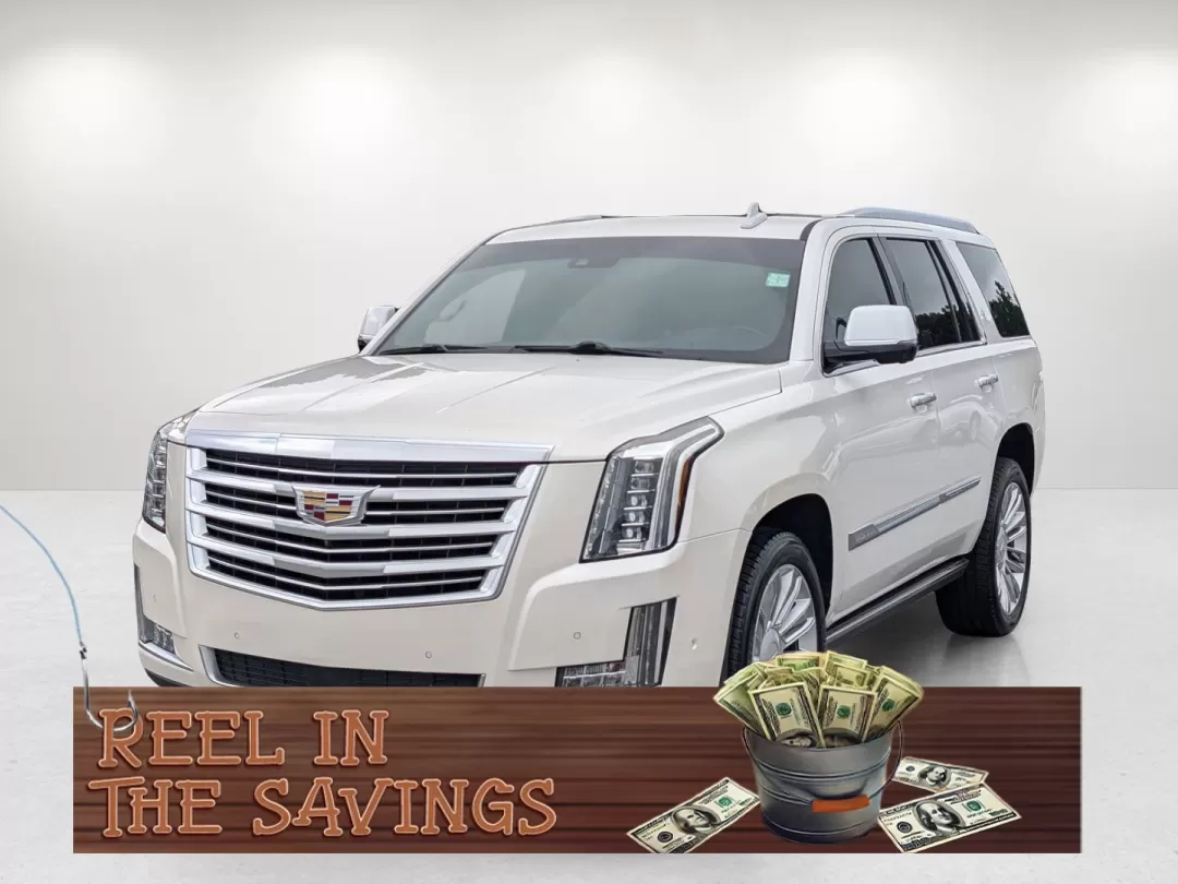 2017 /Jet Black with Jet Black Accents Cadillac Escalade Platinum (1GYS4DKJ5HR) with an Other engine, located at 1430 Gateway Drive, Opelika, AL, 36801, (334) 239-0944, 32.637871, -85.409790 - 2017 Cadillac Escalade Platinum - Photo#0